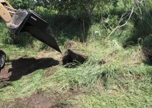 ERSKINE 900809 TREESPADE-3