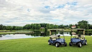 YAMAHA DR2A-EFI GOLFCART_1